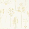 Stipa 112021